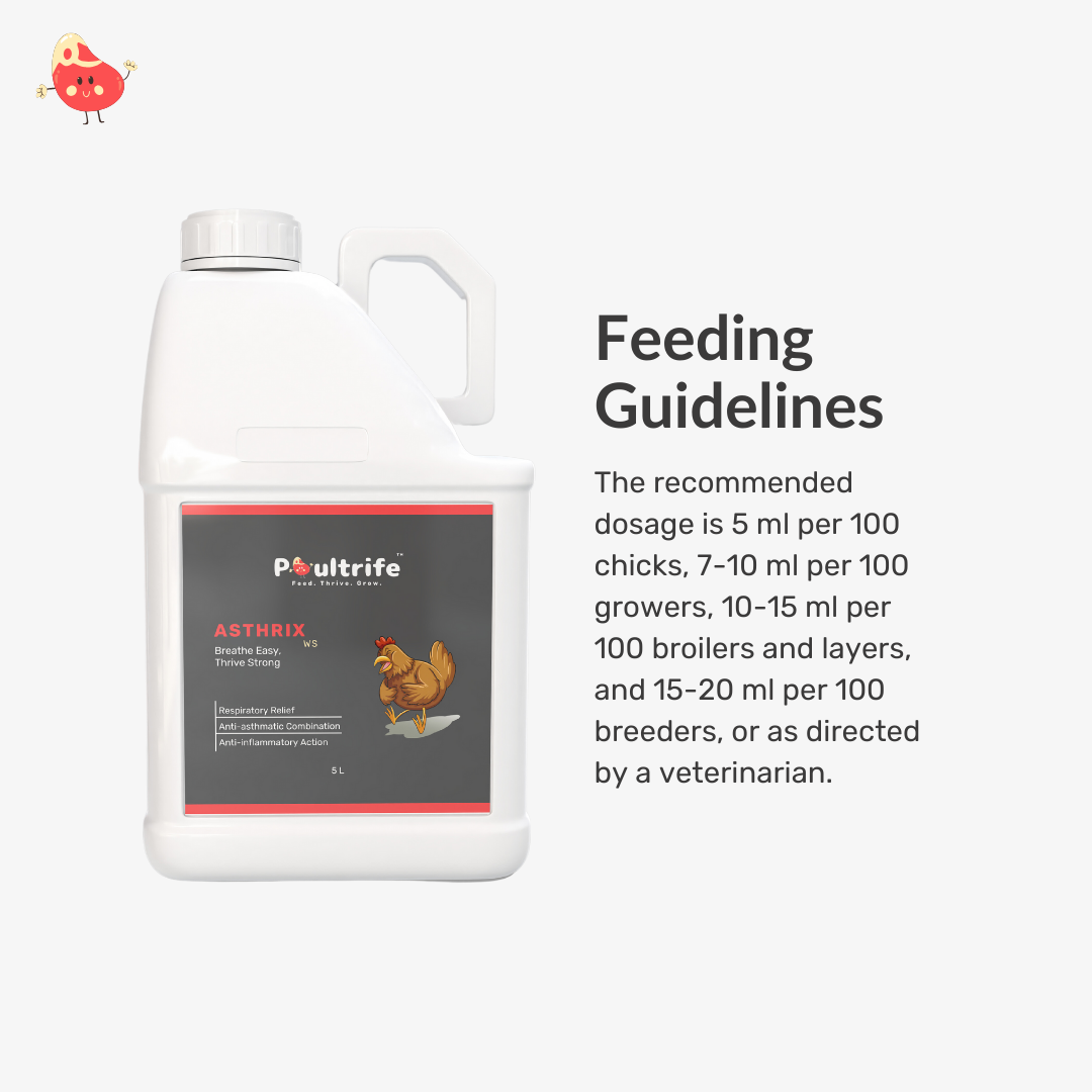 ASTHRIX WS – Herbal Relief for Respiratory Health in Poultry