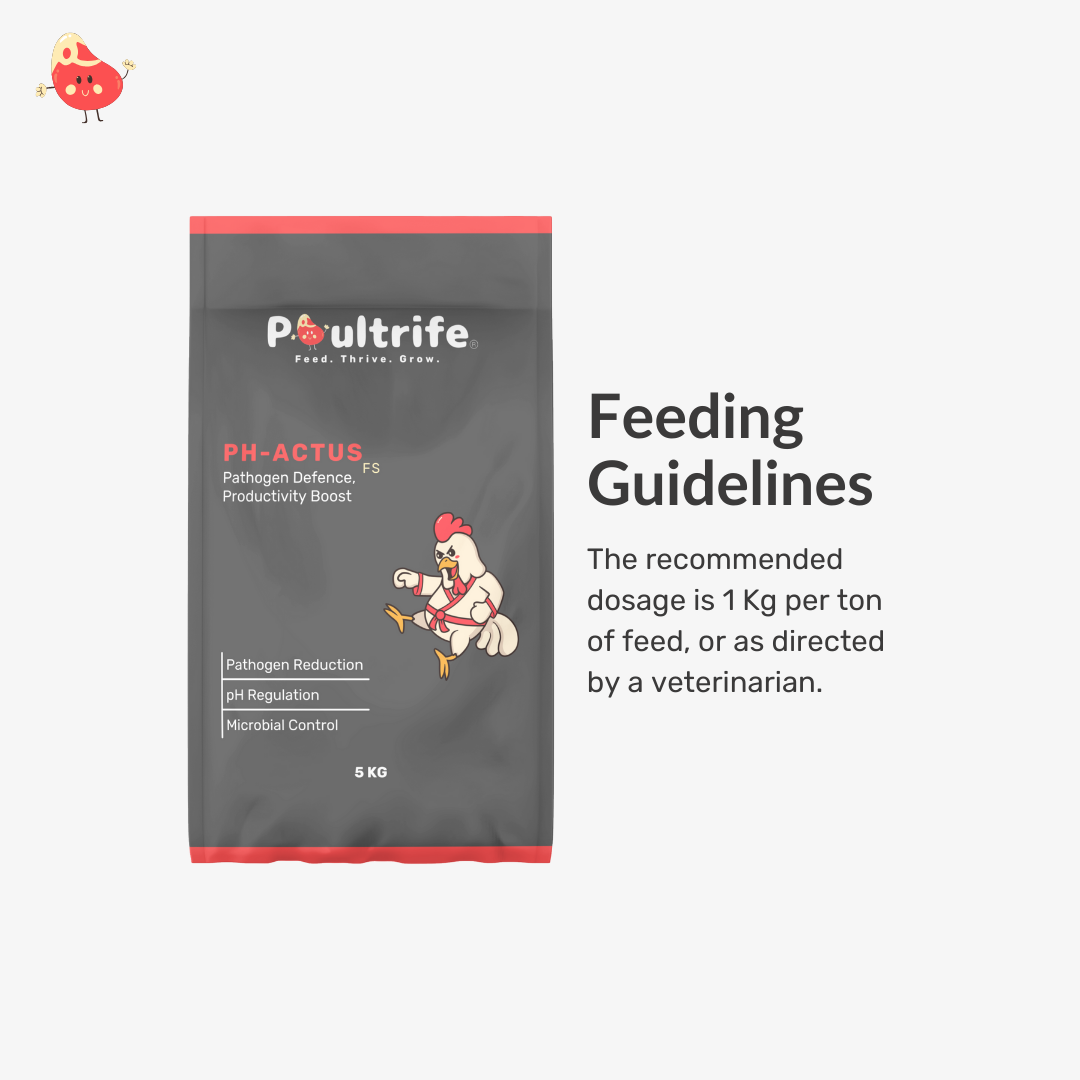 PH-ACTUS FS – Feed Acidifier for Gut Health & Pathogen Control