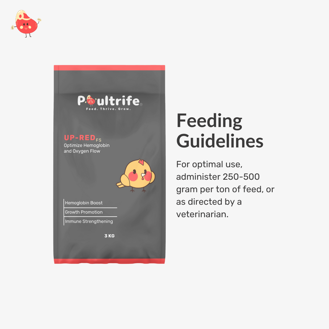 UP-RED FS – Hemoglobin Booster for Growth & Immunity