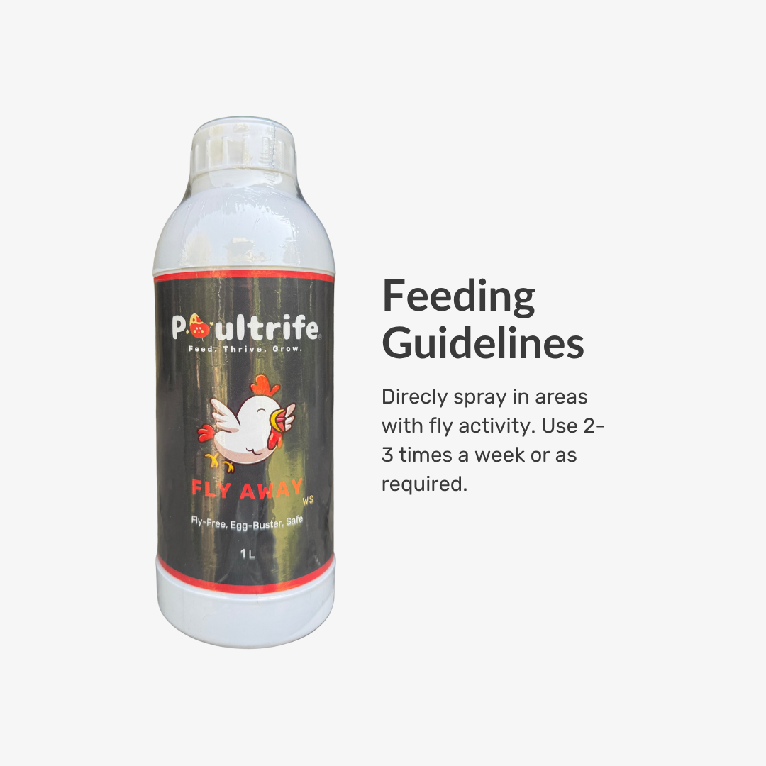 Fly Away WS – Natural Fly Repellent for Poultry