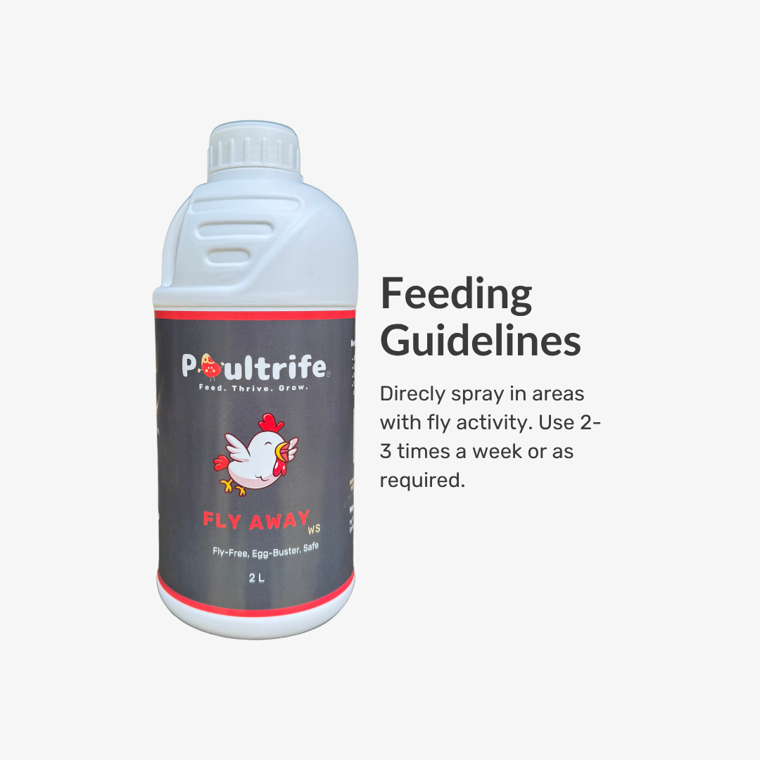 Fly Away WS – Natural Fly Repellent for Poultry