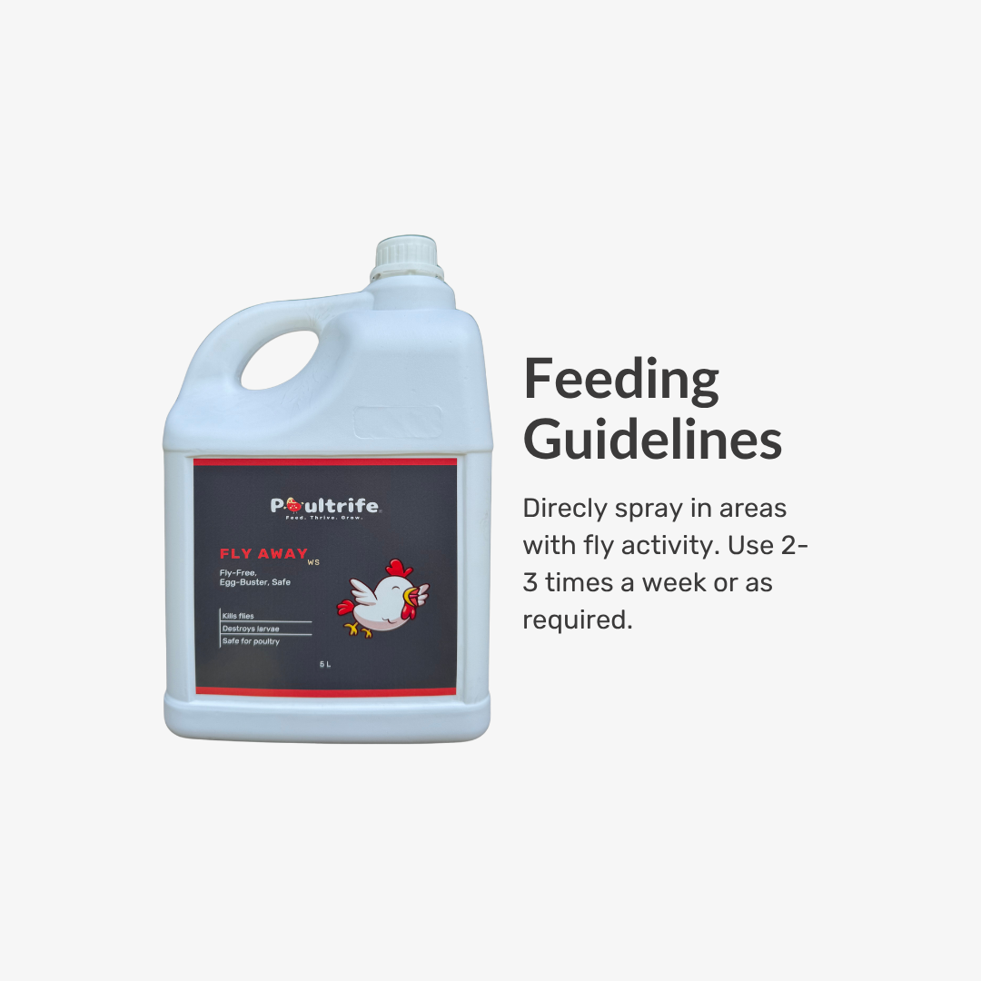 Fly Away WS – Natural Fly Repellent for Poultry