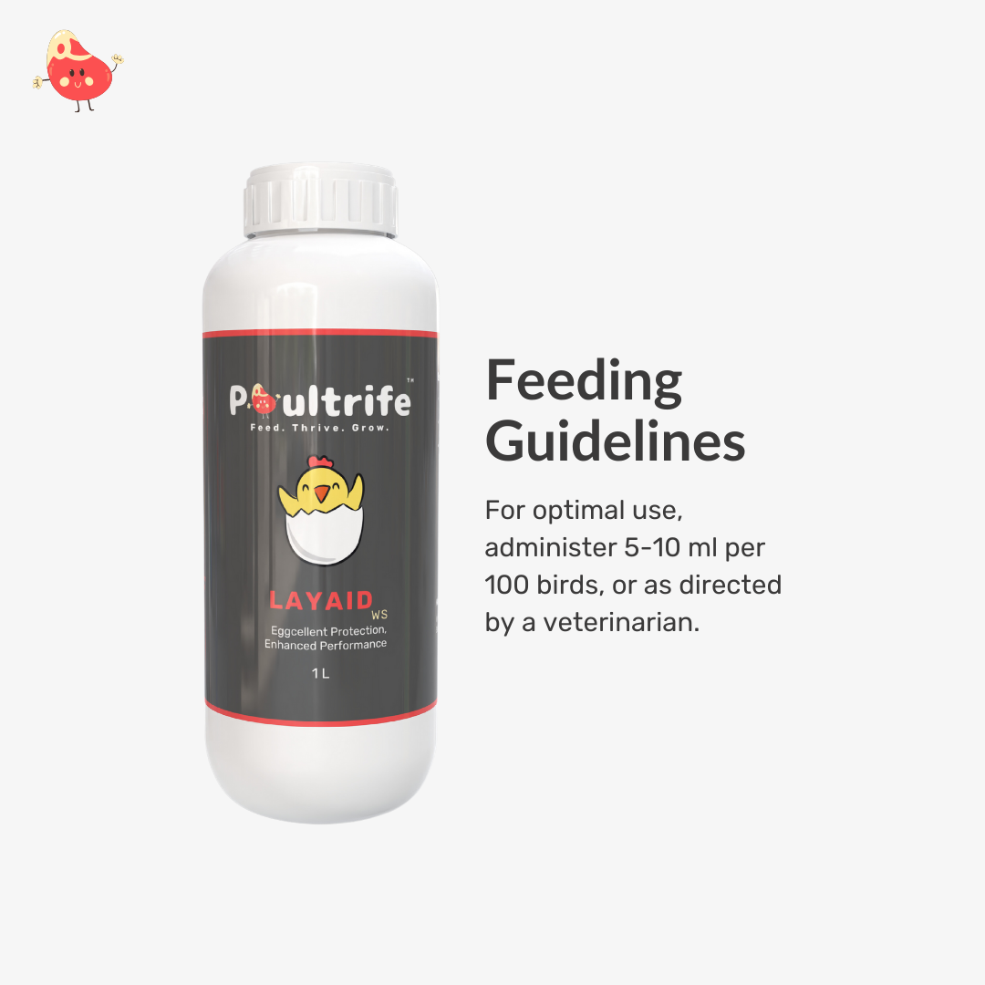 LAYAID WS – Eggcellent Protection for Poultry Health LAYAID WS – Eggcellent Protection for Poultry Health
