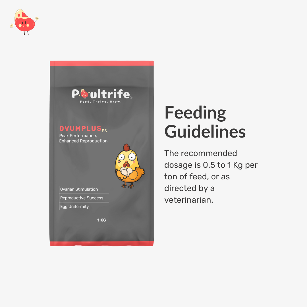 OVUMPLUS FS – Peak Reproductive Performance Feed Supplement