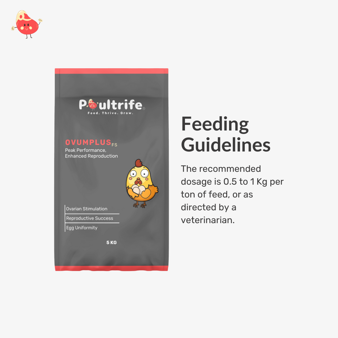 OVUMPLUS FS – Peak Reproductive Performance Feed Supplement