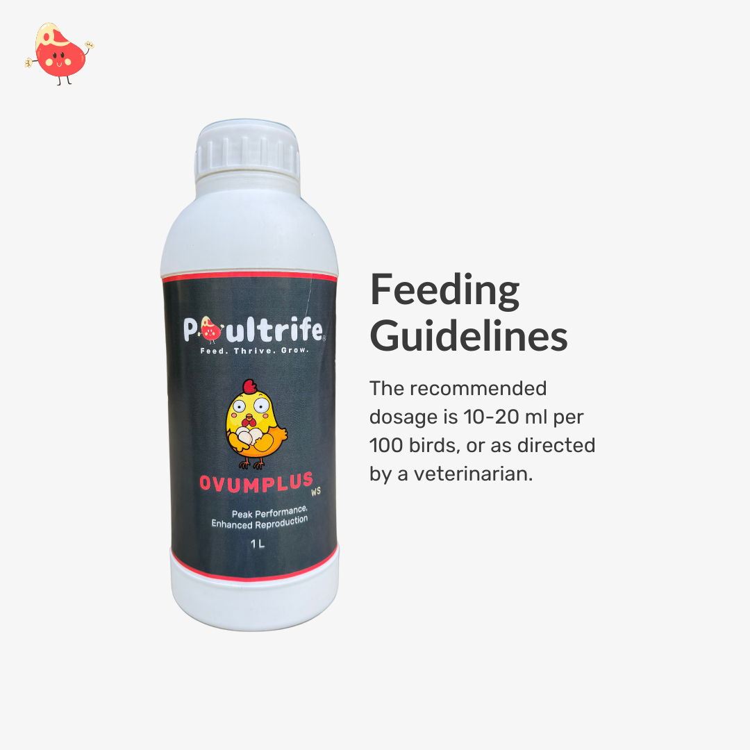 OVUMPLUS WS – Reproductive Performance via Water