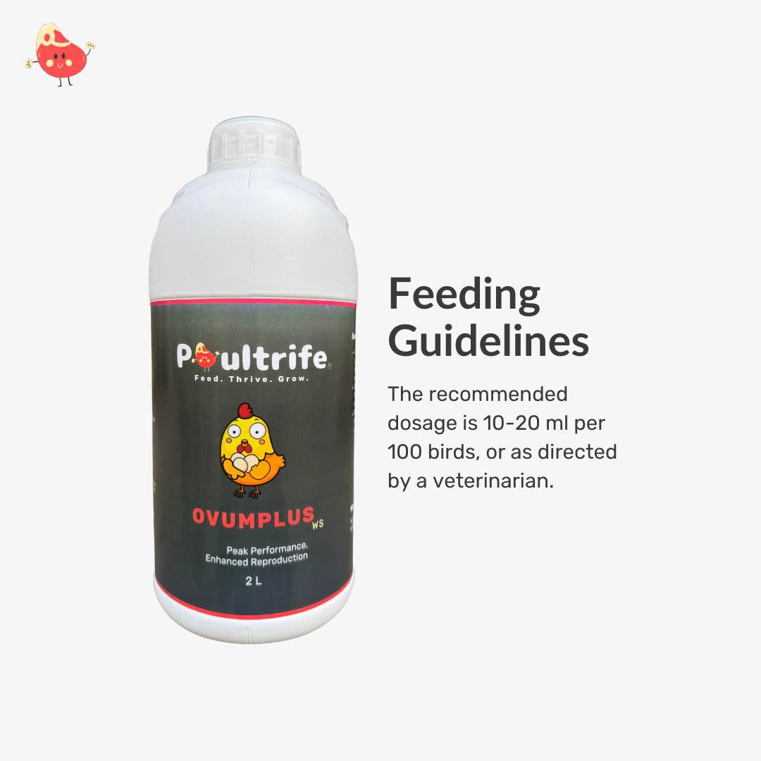 OVUMPLUS WS – Reproductive Performance via Water