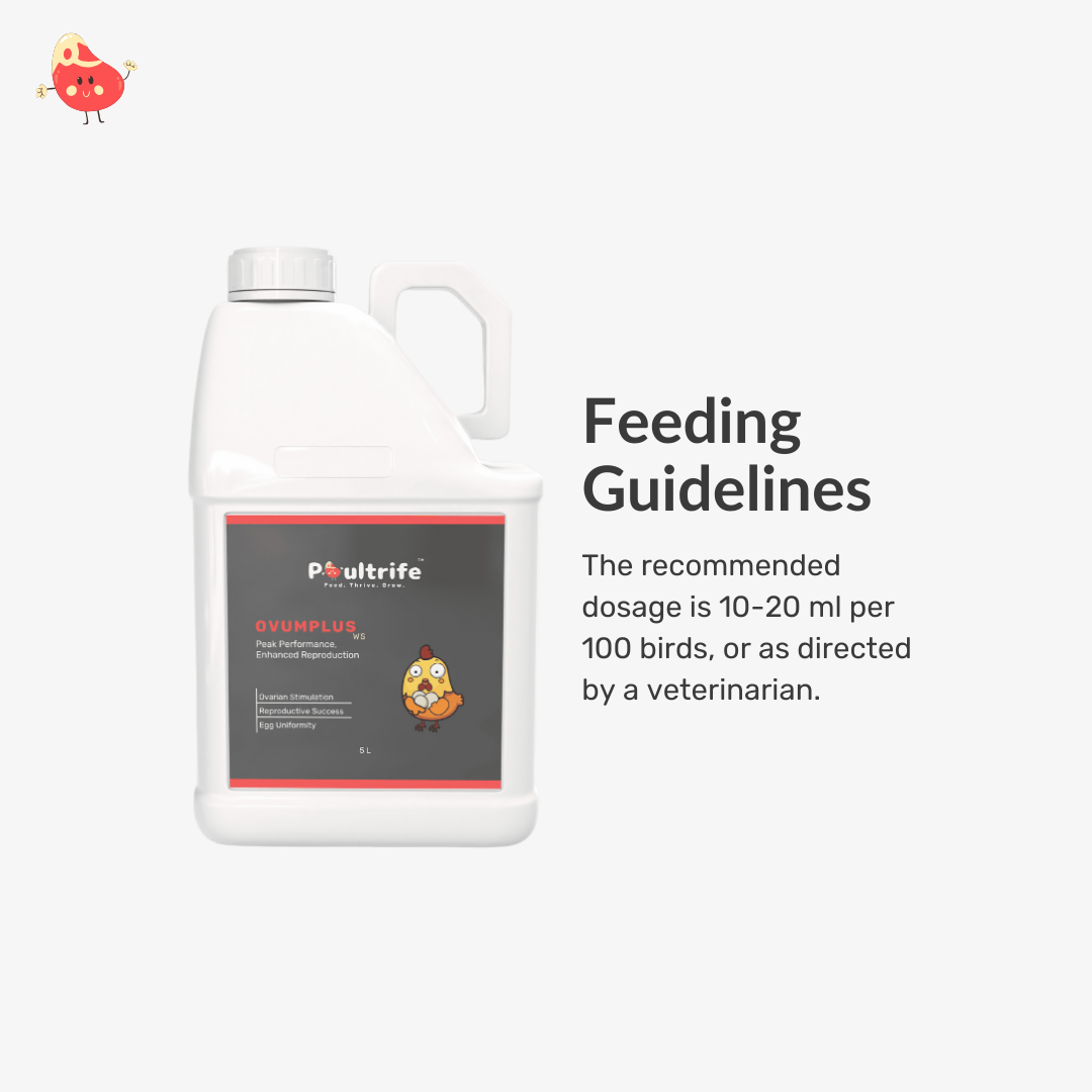 OVUMPLUS WS – Reproductive Performance via Water