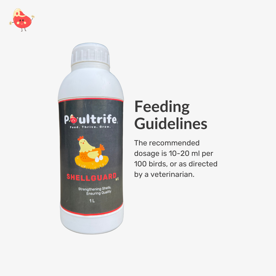 SHELL GUARD WS – Eggshell Quality via Water