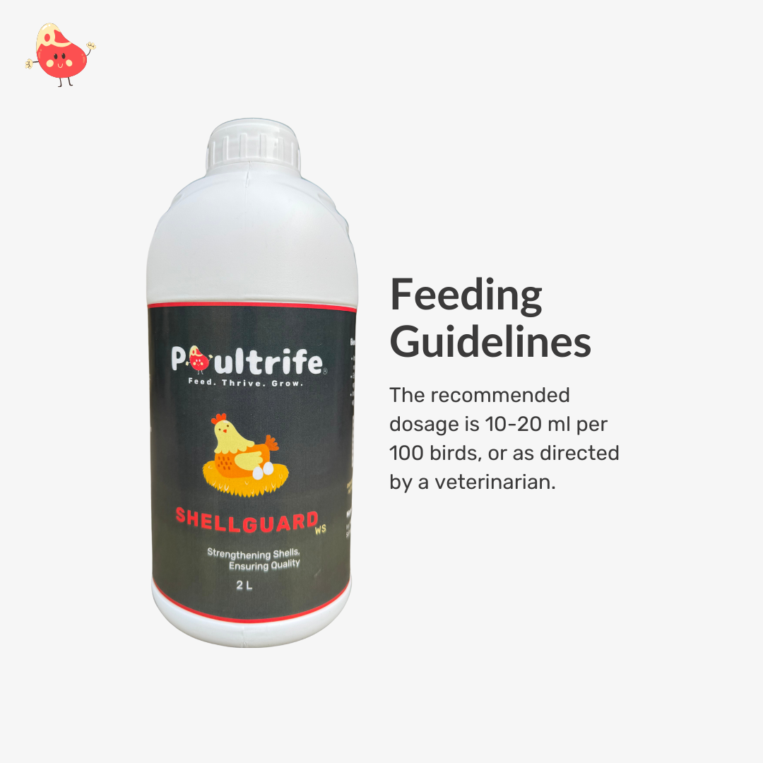 SHELL GUARD WS – Eggshell Quality via Water