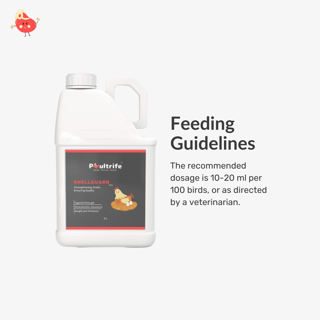 SHELL GUARD WS – Eggshell Quality via Water