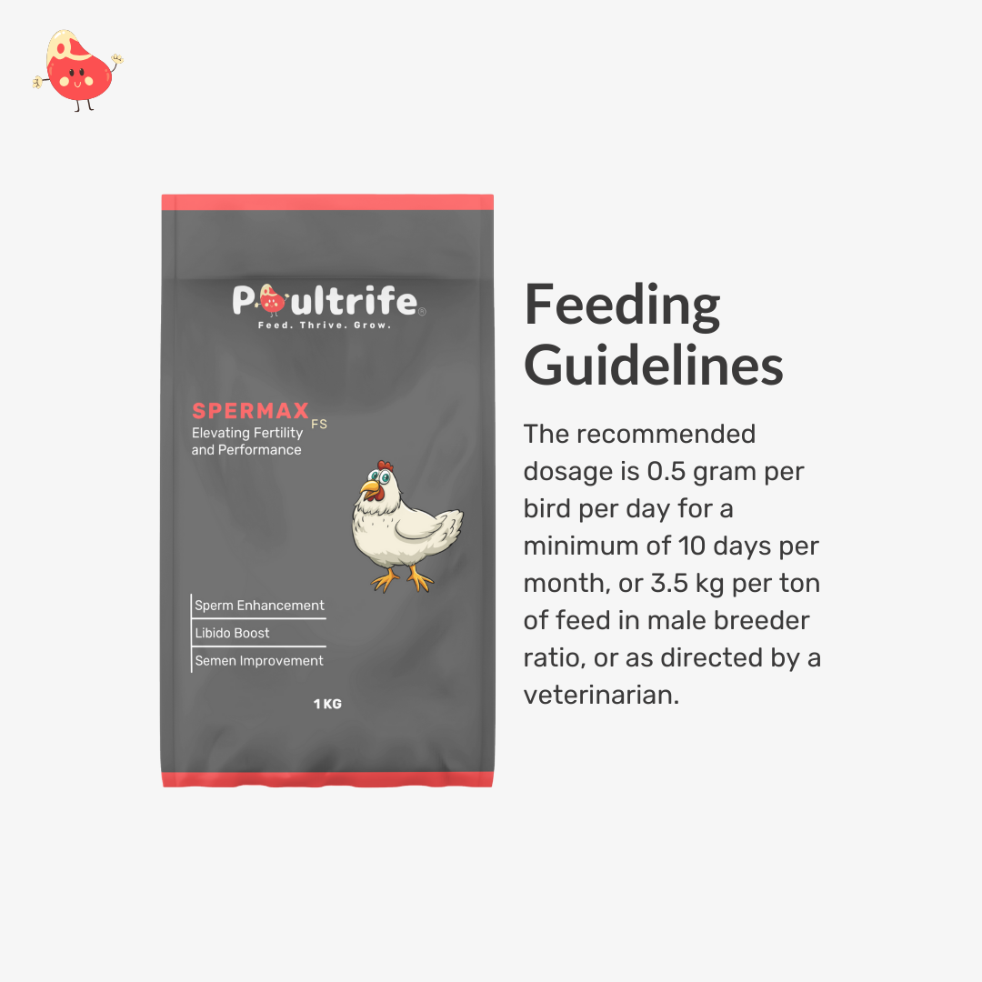 SPERMAX FS – Fertility Booster Through Feed
