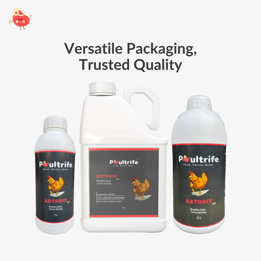 ASTHRIX WS – Herbal Relief for Respiratory Health in Poultry