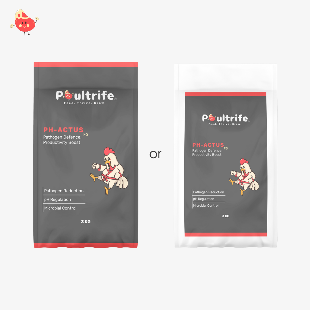 PH-ACTUS FS – Feed Acidifier for Gut Health & Pathogen Control
