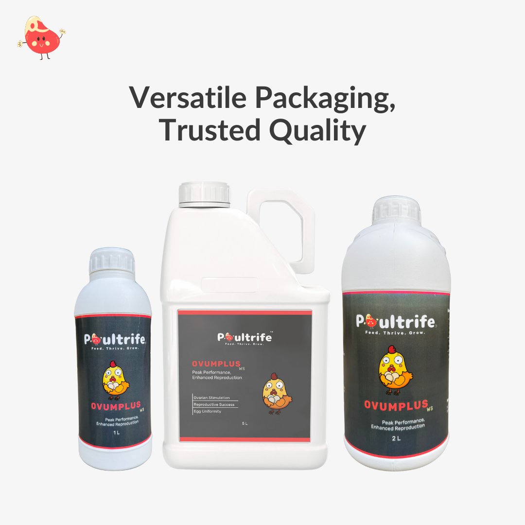 OVUMPLUS WS – Reproductive Performance via Water